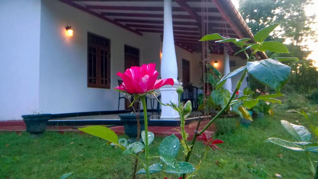 Danara Homestay Sigiriya Exterior foto